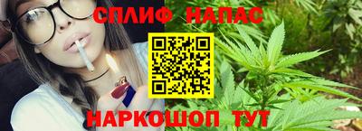 крисы Апшеронск