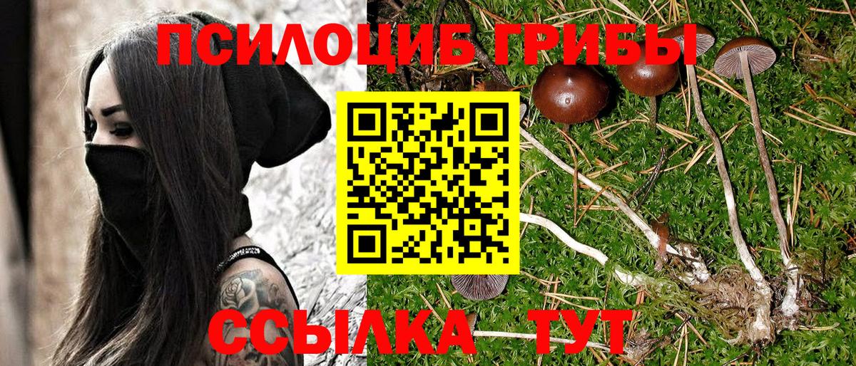 Галлюциногенные грибы Magic Shrooms  Вход с VPN  Белгород 